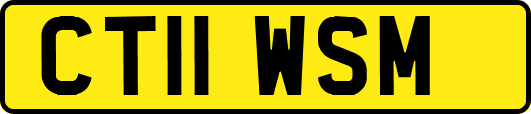 CT11WSM