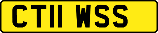 CT11WSS