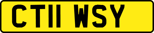 CT11WSY