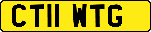 CT11WTG