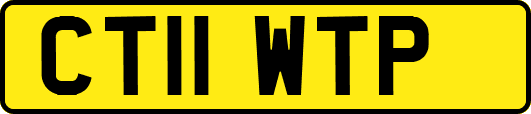 CT11WTP