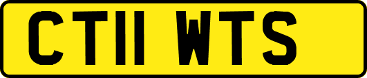 CT11WTS