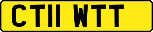 CT11WTT
