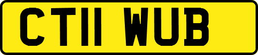 CT11WUB