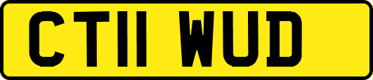 CT11WUD