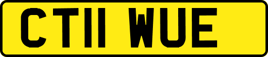 CT11WUE