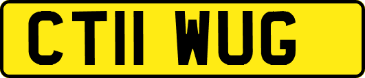 CT11WUG