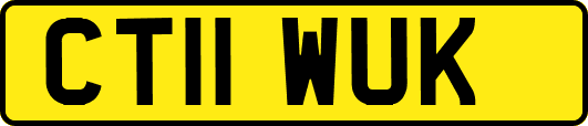 CT11WUK