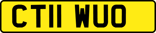 CT11WUO