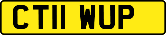 CT11WUP