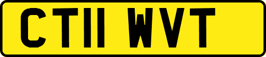 CT11WVT