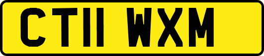CT11WXM