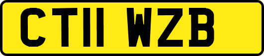 CT11WZB