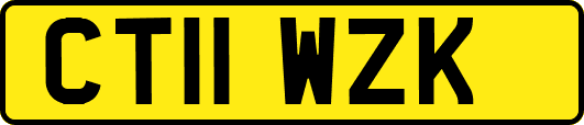 CT11WZK
