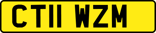 CT11WZM