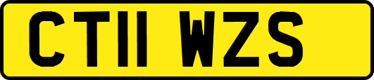 CT11WZS