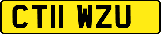 CT11WZU