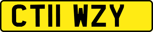 CT11WZY
