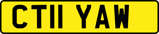 CT11YAW