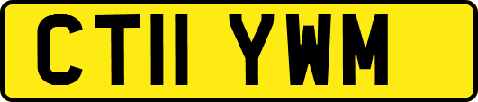 CT11YWM