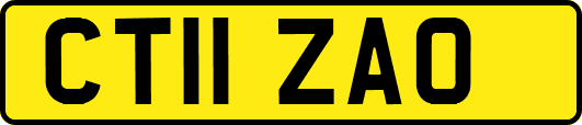 CT11ZAO