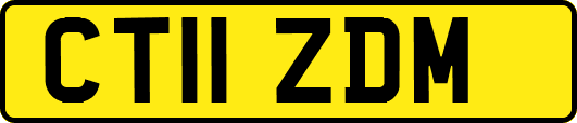 CT11ZDM