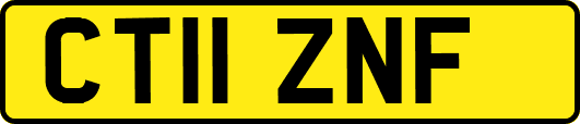 CT11ZNF