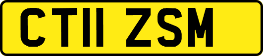 CT11ZSM