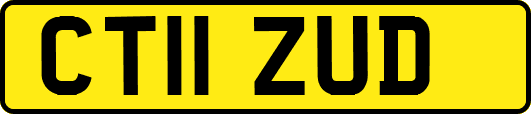 CT11ZUD