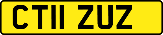 CT11ZUZ