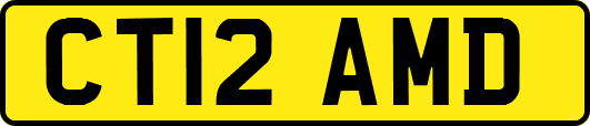 CT12AMD