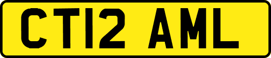 CT12AML