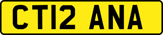 CT12ANA