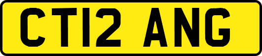 CT12ANG