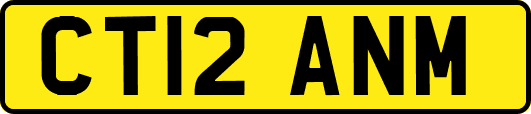 CT12ANM