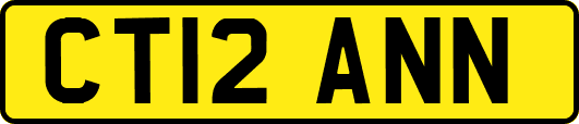 CT12ANN