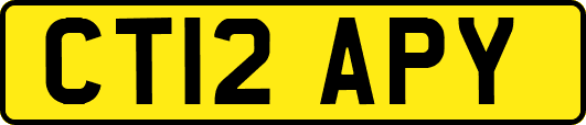 CT12APY