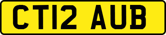CT12AUB