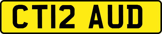 CT12AUD