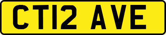 CT12AVE