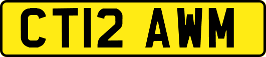 CT12AWM