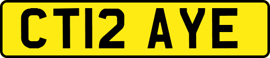 CT12AYE