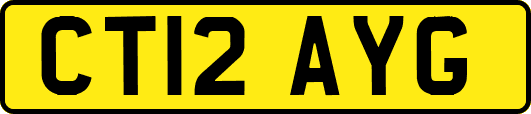 CT12AYG