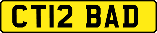 CT12BAD