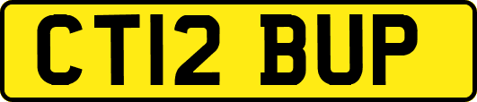 CT12BUP