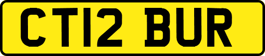 CT12BUR