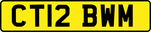 CT12BWM