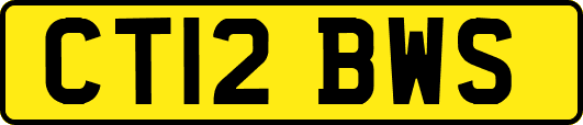 CT12BWS