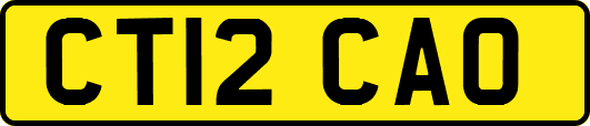 CT12CAO