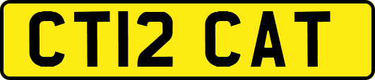 CT12CAT